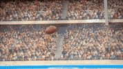 kitten bowl countdown to valentine&#39;s day GIF by Hallmark Channel