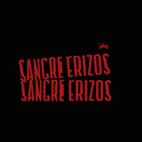 erizosstore beach blood surf waves GIF