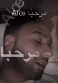 Phone Accept GIF