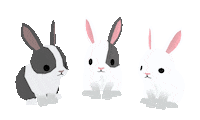 Bunny Forester Sticker