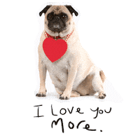 In Love Heart Sticker by GIPHY Studios 2021