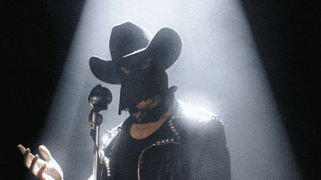 subpoprecords pride country music country cowboy GIF