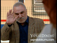 Baba Gar GIF by Yaprak Dökümü