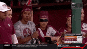 softball seminoles GIF by NCAA Championships