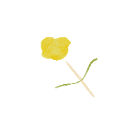 art illustration Sticker by Our Second Nature