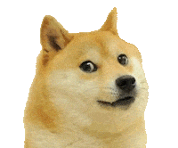 30 Años Upc Sticker by UPC edu