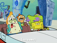 season 4 krusty towers GIF by SpongeBob SquarePants