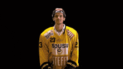 Hockey Ice GIF by Vienna Capitals
