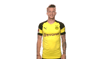 borussia dortmund yes Sticker by Bundesliga