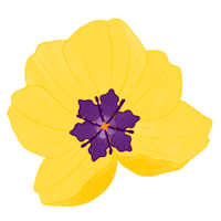 Lemon Uruguay Sticker by Lemon