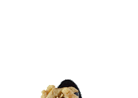 gluten free vegan Sticker by good good food co