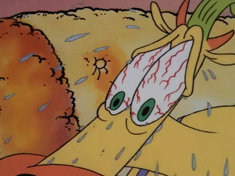 rockos modern life nicksplat GIF