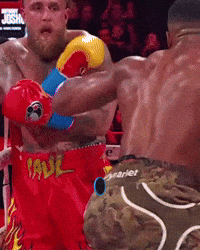 Jake Paul Pro Boxing GIF by Marcel Katz Dalí / The Art Plug