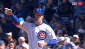 Cubs Scuba GIF by Marquee Sports Network