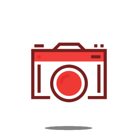 Feria De Madrid Photography Sticker by IFEMA