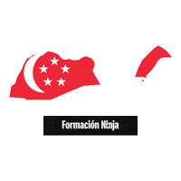 Singapore Flag Sticker by Formación Ninja