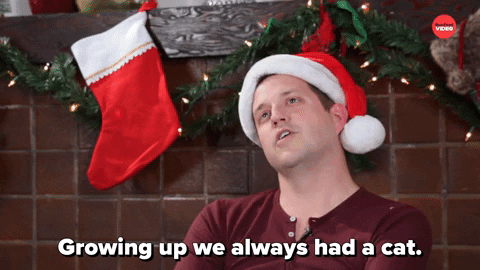 Drunk Christmas GIF by BuzzFeed