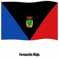 Santa Cruz De Tenerife Bandera GIF by Formación Ninja