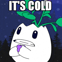 Shaking Snow Day GIF by Magic Eden