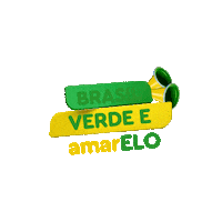 Futebol Cup Sticker by Colégio ELO