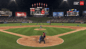 Chicago Cubs Baseball GIF
