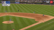 Chicago Cubs Baseball GIF