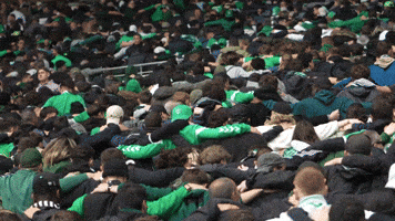 Football Fan GIF by AS Saint-Étienne