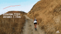 A Beginner’s Guide | How To Trail Run