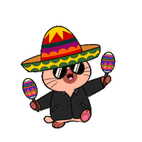 Cinco De Mayo Celebration Sticker by Silly Kitties