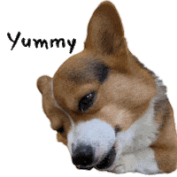 Milo_SiliconValley dog yummy eating eat Sticker