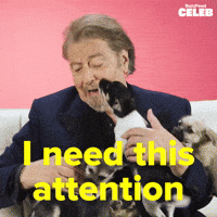 Al Pacino Puppy GIF by BuzzFeed