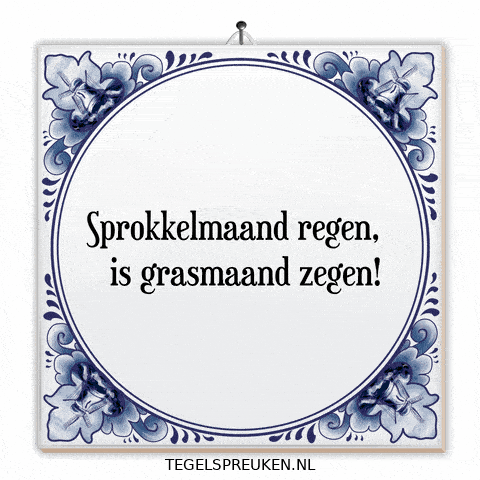 Humor Nl GIF by Tegelspreuken.nl