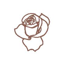 thelovelyhairclass flower rose lovely feminine Sticker