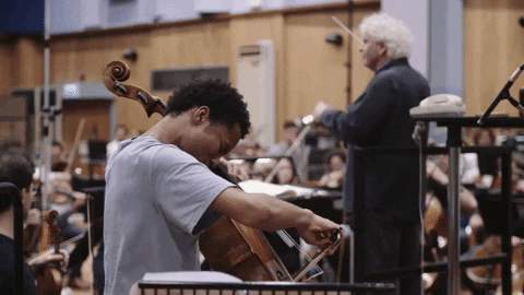 shekukm giphygifmaker cellist abbeyroad sheku GIF