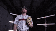 University Of Louisville Baseball GIF by Louisville Cardinals