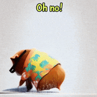 Comedy Surprise GIF by Guinea Gambino