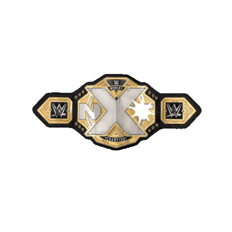 wwe nxt sport Sticker by WWE