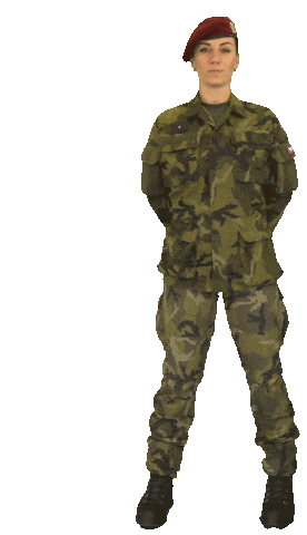 armadaceskerepubliky army salute attention czech Sticker