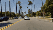 don't wanna know GIF by NOW That's Music