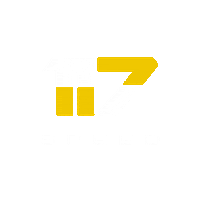117Speed tuning ecutuning remapping 117speed Sticker