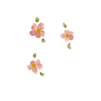 Flowers Plants Sticker by katlyn boone