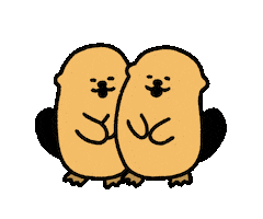 Sea Otter Love Sticker by takadabear