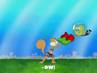 season 8 bubble troubles GIF by SpongeBob SquarePants