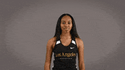 Cal State La Track GIF by Cal State LA Golden Eagles