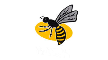 Rugby Netball Sticker by Wasps