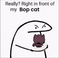 Bop Dancing Cat GIF