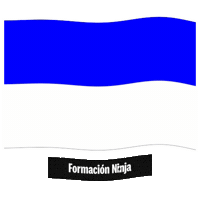 Pais Vasco Flag Sticker by Formación Ninja