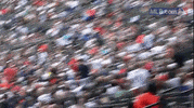 kc GIF by MLB