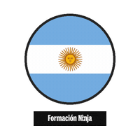 Flag Argentina Sticker by Formación Ninja