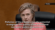 Hillary Clinton Epa GIF by GIPHY News